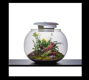 Kyu Globe H45XD50cm 52L - حوض السمك - Zue For Pet Supplies Co.