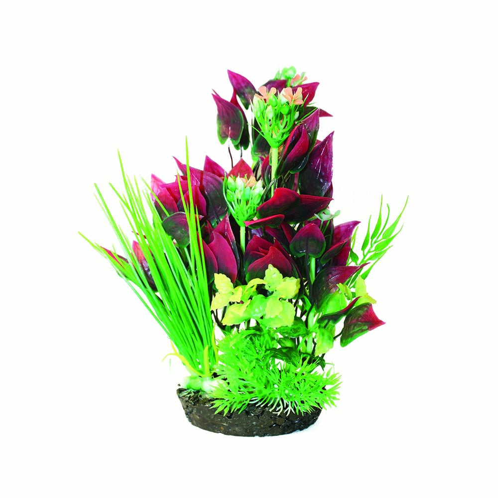 Hugo Boxed Plant Mix 7 28cm - ديكور حوض السمك - Zue For Pet Supplies Co.