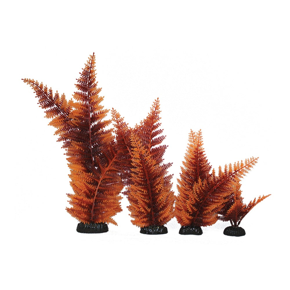 Hugo Broad Leaf Fern Red 13cm - ديكور حوض السمك - Zue For Pet Supplies Co.