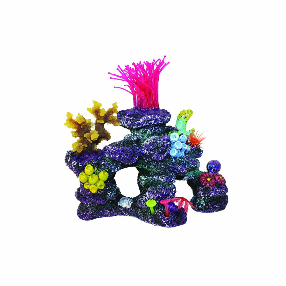 Hugo Coral Sculpture L 22X13X20cm - ديكور حوض السمك - Zue For Pet Supplies Co.