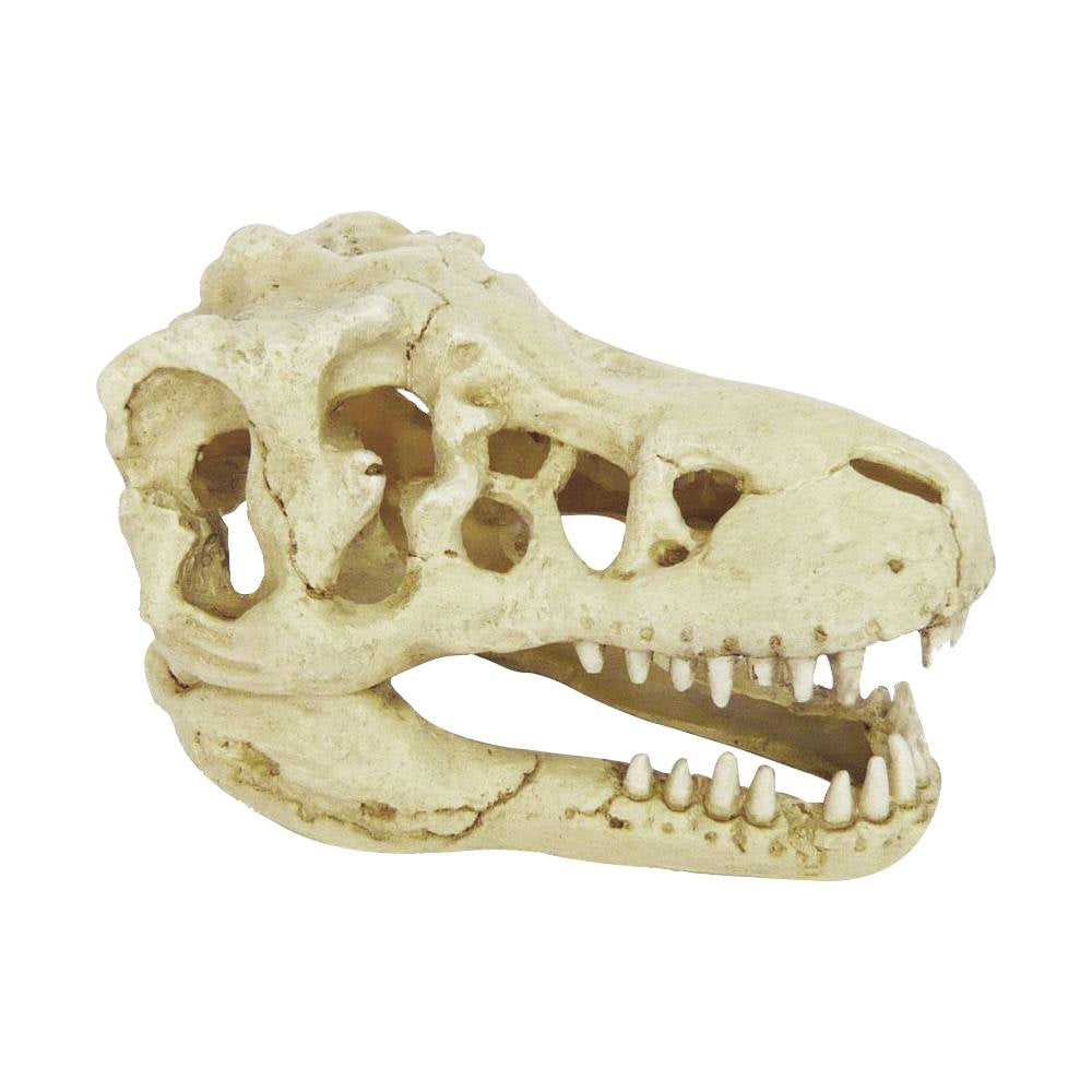 Hugo Dinosaur Skull 18X12X11 - ديكور حوض السمك - Zue For Pet Supplies Co.
