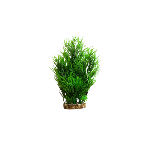 Hugo Mizu Juncus Green 30cm - ديكور حوض السمك - Zue For Pet Supplies Co.