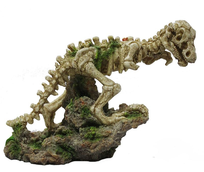 Hugo Mr Rex 24X9X18cm - ديكور حوض السمك - Zue For Pet Supplies Co.