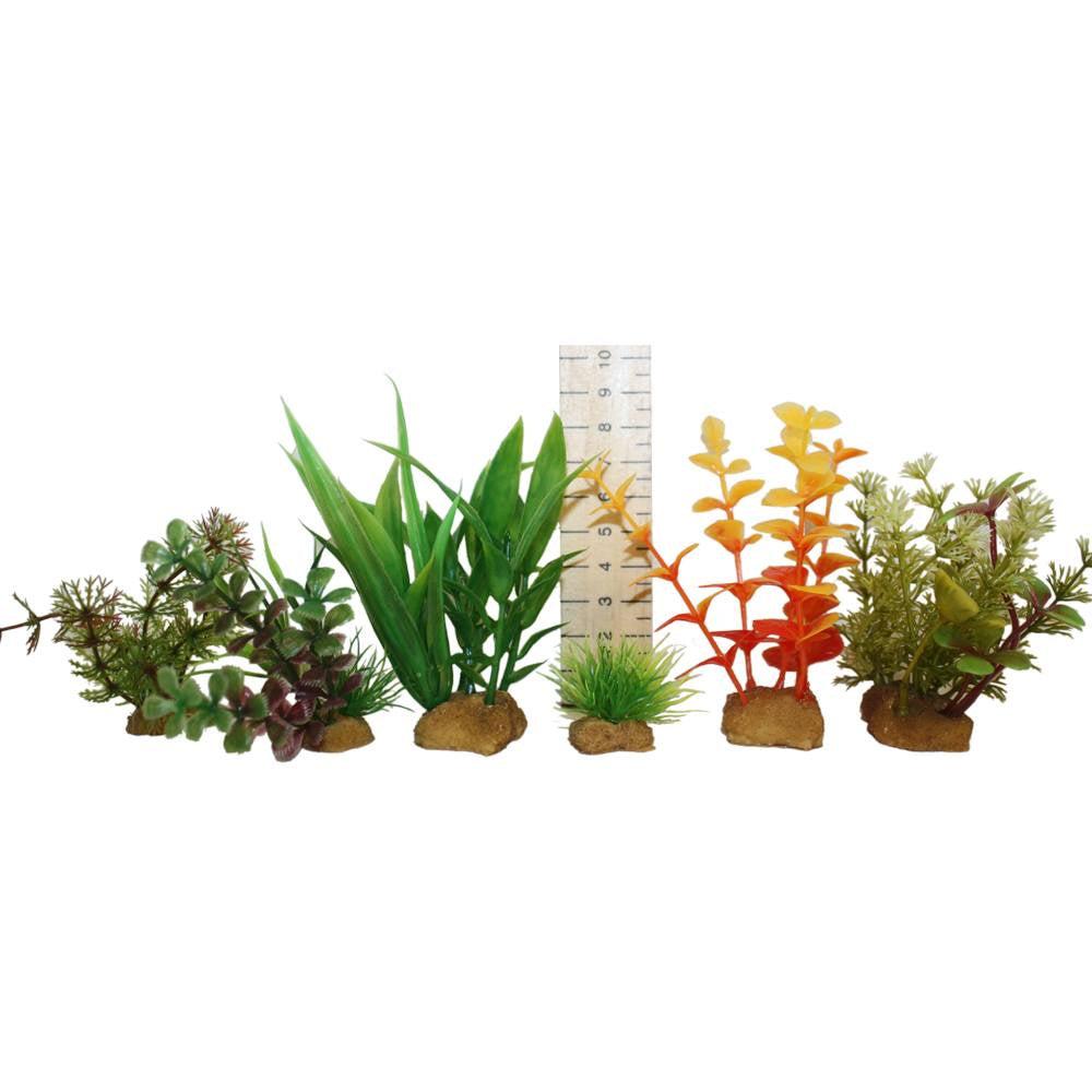 Hugo Plant Set 2 sm - ديكور حوض السمك - Zue For Pet Supplies Co.