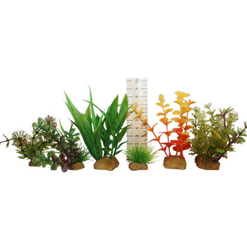 Hugo Plant Set 2 sm - ديكور حوض السمك - Zue For Pet Supplies Co.