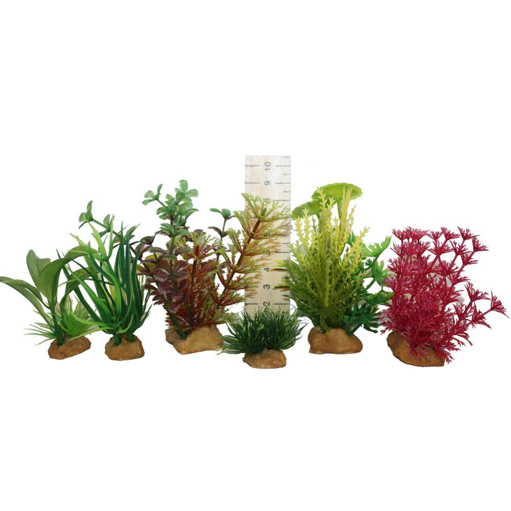 Hugo Plant Set 5 Sm(6 Plant Tub) - ديكور حوض السمك - Zue For Pet Supplies Co.