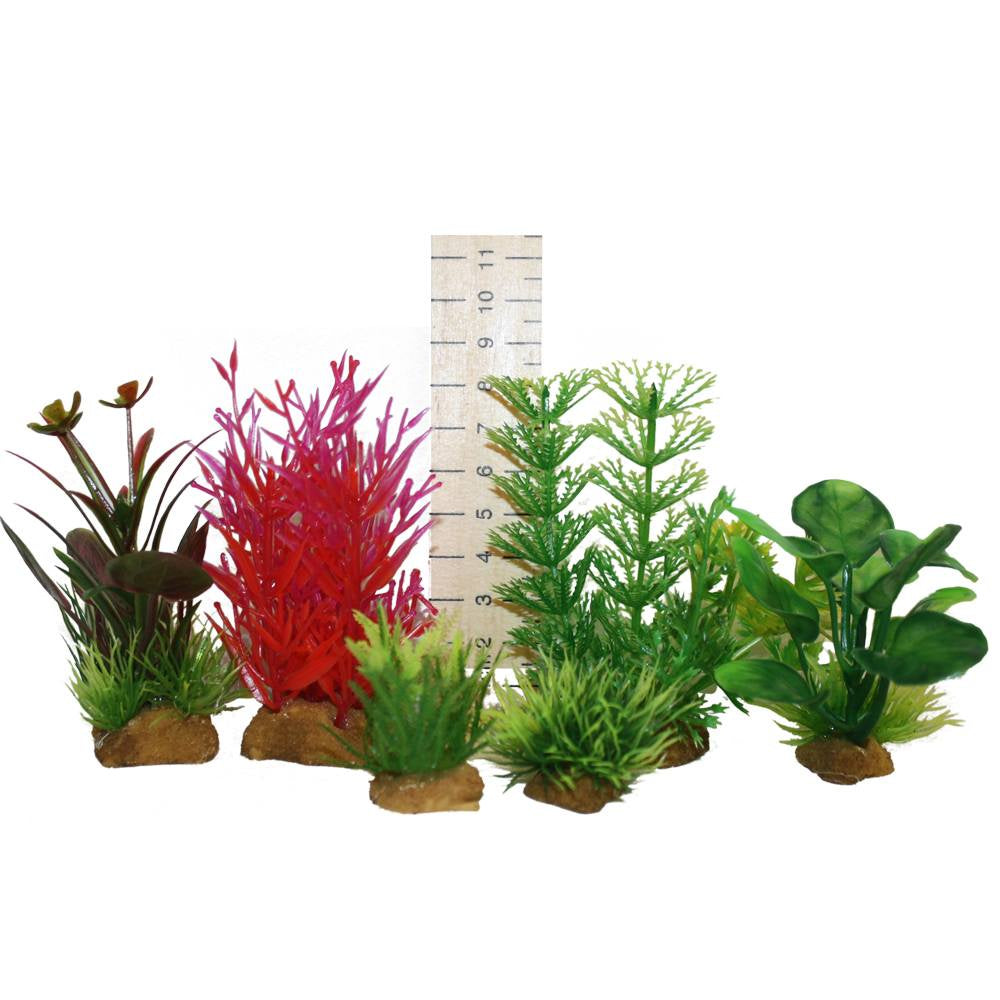 Hugo Plant Set 6 Sm(6 Plants Tub - ديكور حوض السمك - Zue For Pet Supplies Co.