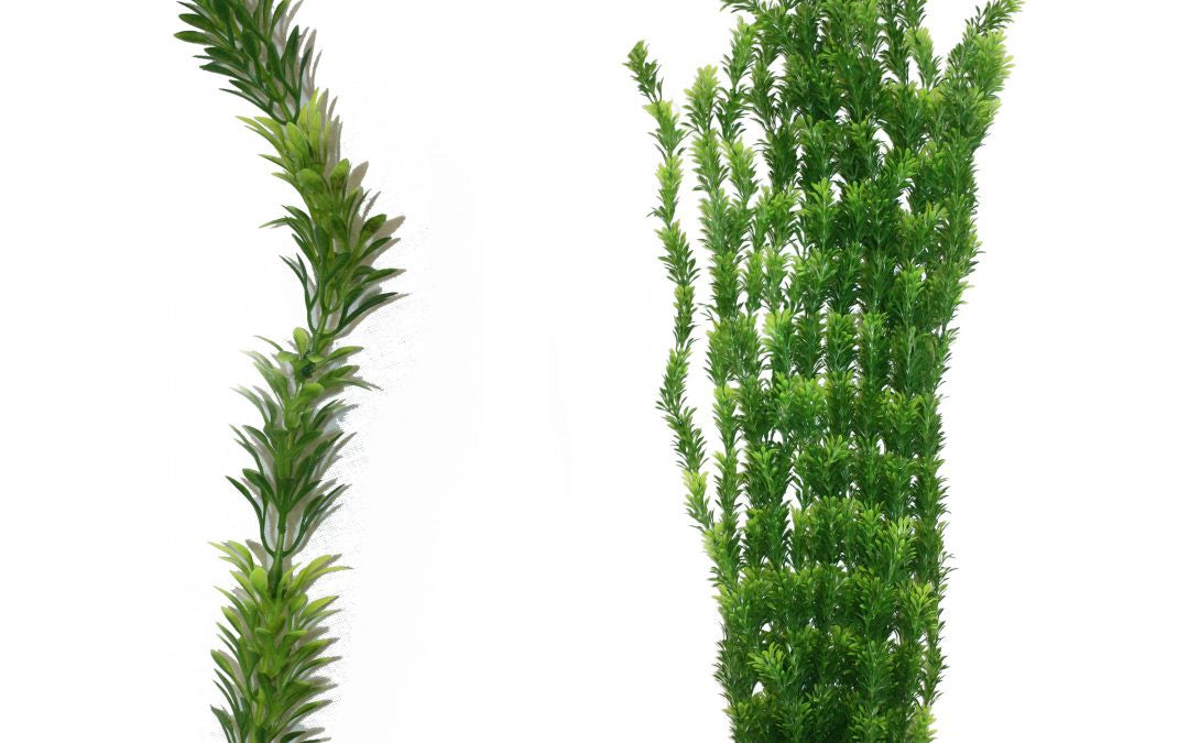 Hugo Xl Plant Green 4  95cm - ديكور حوض السمك - Zue For Pet Supplies Co.