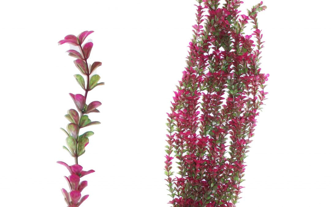 Hugo Xl Plant Green/Purple  95cm - ديكور حوض السمك - Zue For Pet Supplies Co.