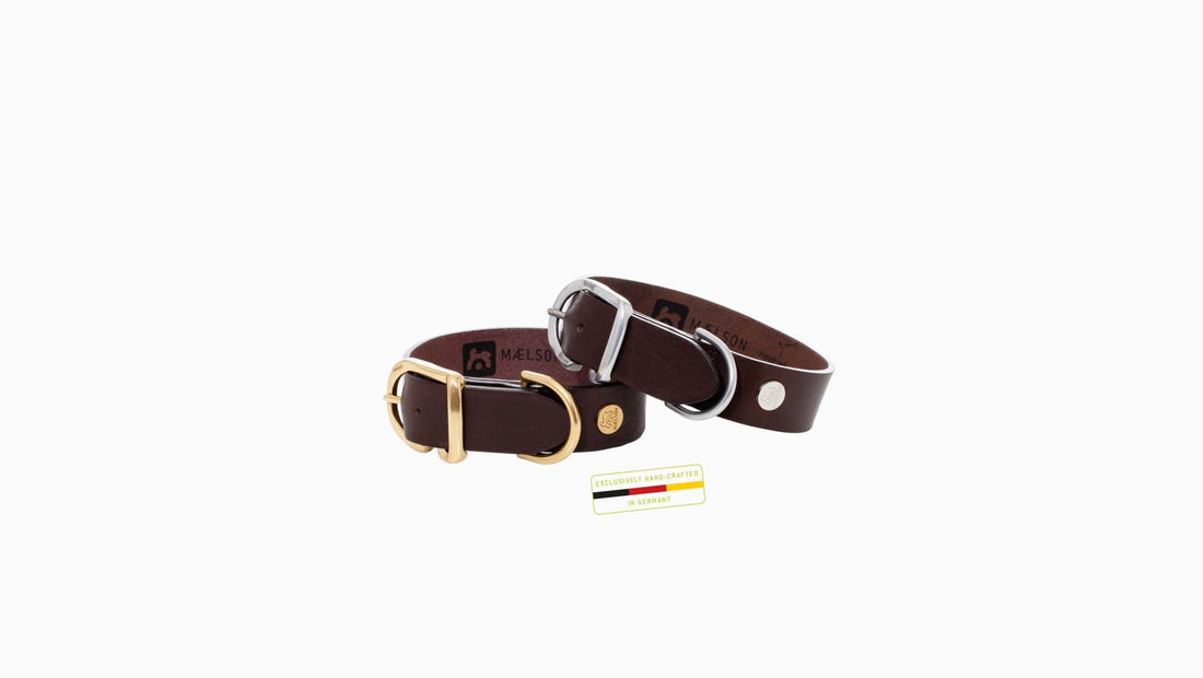Maelson Ecoskin Coll'R™ 45/35 onyx/metal - مستلزمات الحيوانات الأليفة - Zue For Pet Supplies Co.