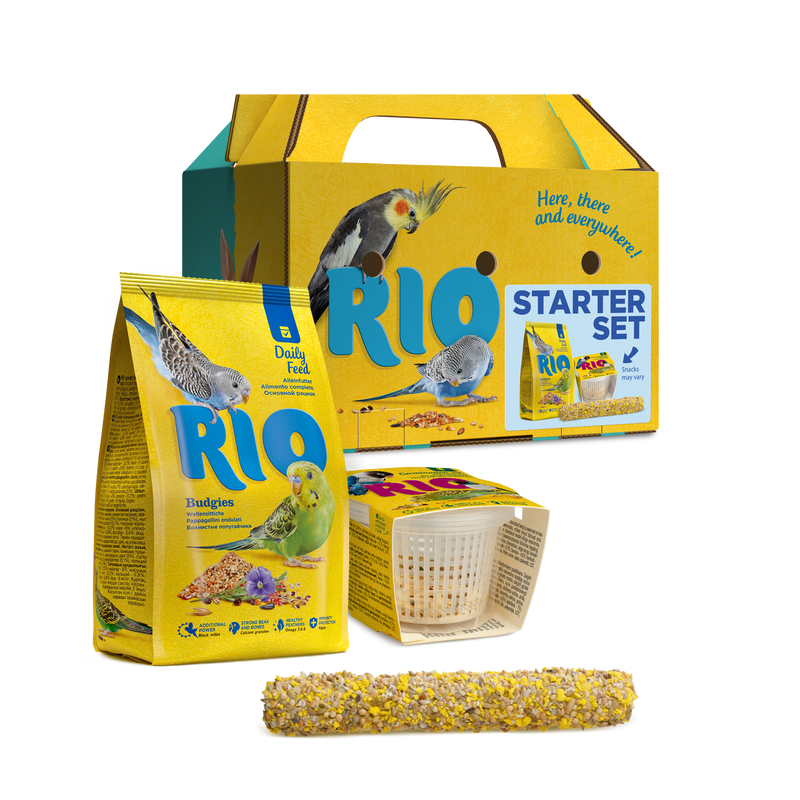 RIO Starter set for new budgie owners - طعام الطيور - Zue For Pet Supplies Co.