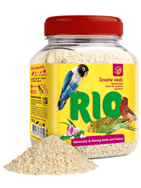 RIO Sesame seed. Treat for all birds 250gm - مكافأت الطيور - Zue For Pet Supplies Co.