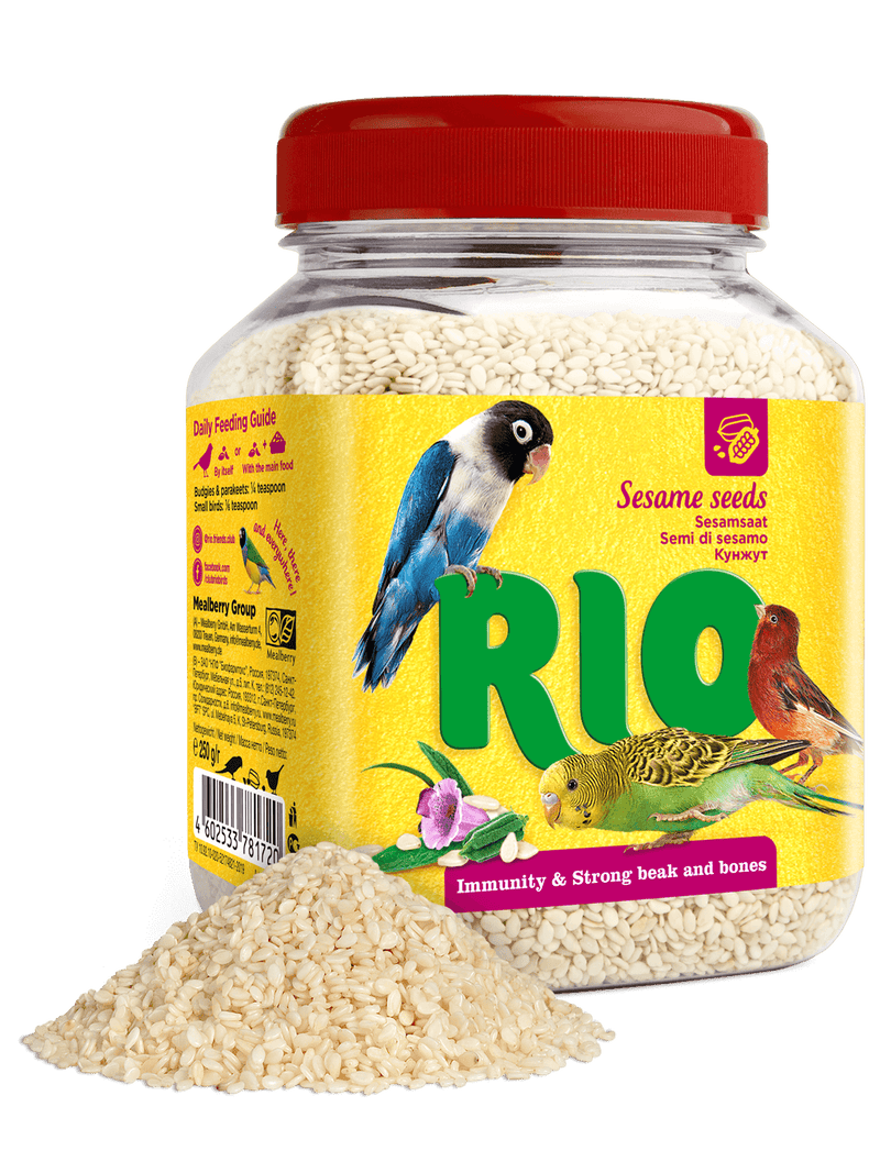 RIO Sesame seed. Treat for all birds 250gm - مكافأت الطيور - Zue For Pet Supplies Co.