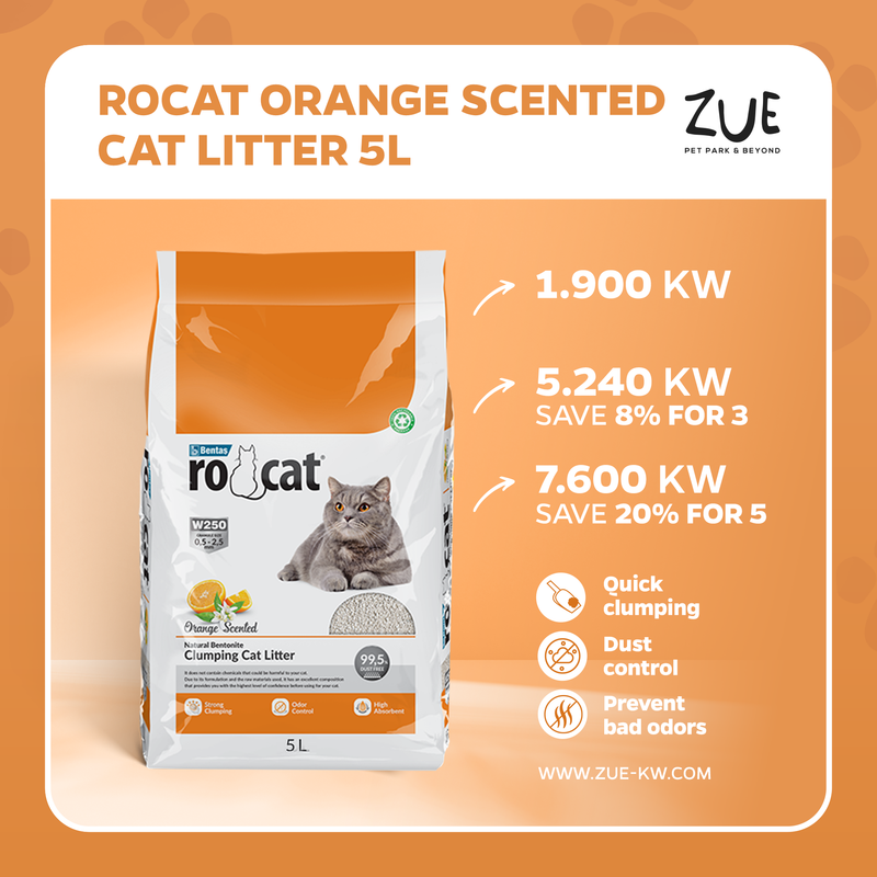 RoCat Orange Cat Litter 5L - رمل للقطط - Zue For Pet Supplies Co.