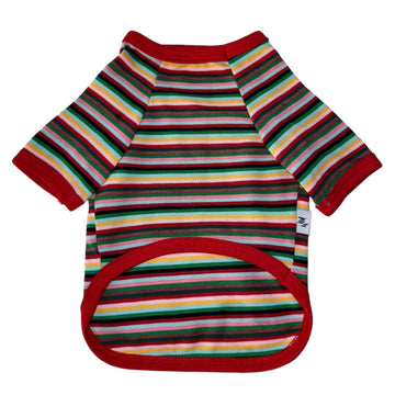 Ziggy Dog Multicolored Stripe Shirt - ملابس للحيوانات الأليفة - Zue For Pet Supplies Co.
