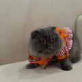 Bush Bush - Zue For Pet Supplies Co.