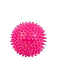 Farm Company Bite Ball TPR Spiky balls display - 12 pieces display - مستلزمات الحيوانات الأليفة - Zue For Pet Supplies Co.