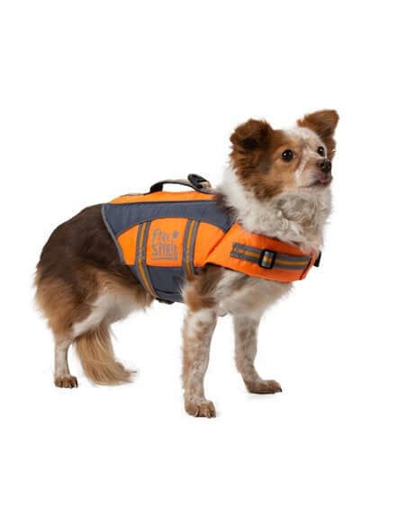 Free Spirit working harness Medium Blue - مستلزمات الكلاب - Zue For Pet Supplies Co.
