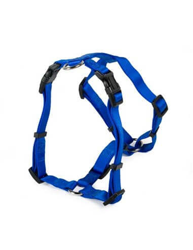 Farm Company Nylon harness H model Blue - 25mmx71 91cm - مستلزمات الحيوانات الأليفة - Zue For Pet Supplies Co.