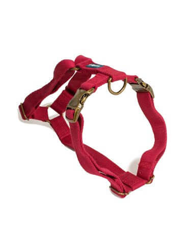 Farm Company Green Soybean Adjustable Harness Burgundy - 2x40 50cm - مجموعة رباط تحكم وصدرية للكلاب - Zue For Pet Supplies Co.