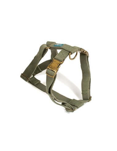 Farm Company Green Soybean Adjustable Harness Olive Green - 2x50 60cm - مجموعة رباط تحكم وصدرية للكلاب - Zue For Pet Supplies Co.