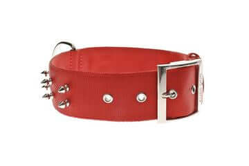 Ferribella Nylon Collar with Spikes 2.5X37-47cm Red - طوق الكلاب - Zue For Pet Supplies Co.