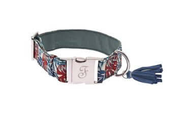 Ferribiella Kami Collar L 3.8X35-56cm Green - طوق الكلاب - Zue For Pet Supplies Co.