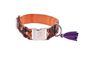 Ferribiella Kami Collar L 3.8X35-56cm Orange - طوق الكلاب - Zue For Pet Supplies Co.