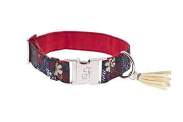 Ferribiella Kami Collar S 2.5X22-35cm Red - طوق الكلاب - Zue For Pet Supplies Co.