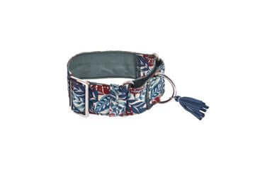 Ferribiella Kami Martingale Collar M 5X32-46cm Green - طوق الكلاب - Zue For Pet Supplies Co.