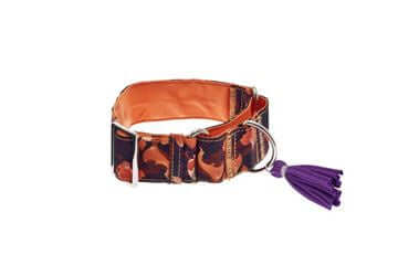 Ferribiella Kami Martingale Collar S 3.8X24-37cm Orange - طوق الكلاب - Zue For Pet Supplies Co.