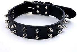 Ferribiella Nylon Collar with Spikes 4X43-53cm Black - طوق الكلاب - Zue For Pet Supplies Co.