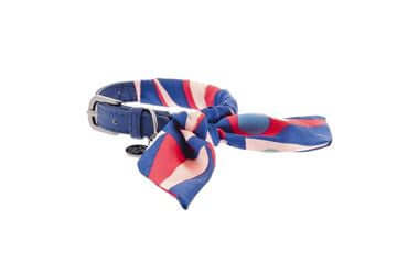Ferribiella Opera' Leash+Collar M Carmen - رباط تحكم للكلاب - Zue For Pet Supplies Co.