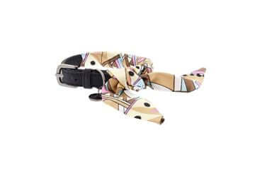 Ferribiella Opera' Leash+Collar XS Aida - Zue For Pet Supplies Co.