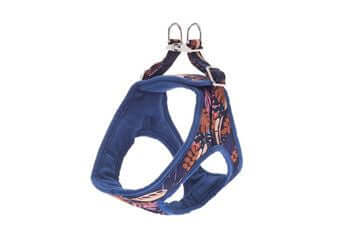 Ferribiella Kami Harness XXS 28-34cm Blue - مجموعة رباط تحكم وصدرية للكلاب - Zue For Pet Supplies Co.