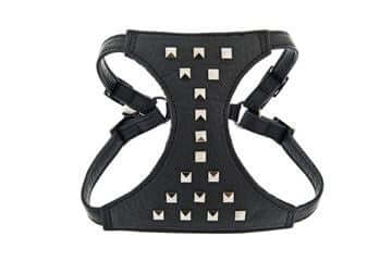 Ferribiella Leather Harness Spike+Leash 120cm M Black - مجموعة رباط تحكم وصدرية للكلاب - Zue For Pet Supplies Co.