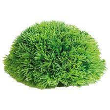 Flamingo Aquarium Half Mossball 17cm - اكسسوارات الأسماك - Zue For Pet Supplies Co.