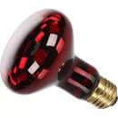 Flamingo Infrared Spot Herschel - 75W - اكسسوارات الحيوانات الصغيرة - Zue For Pet Supplies Co.