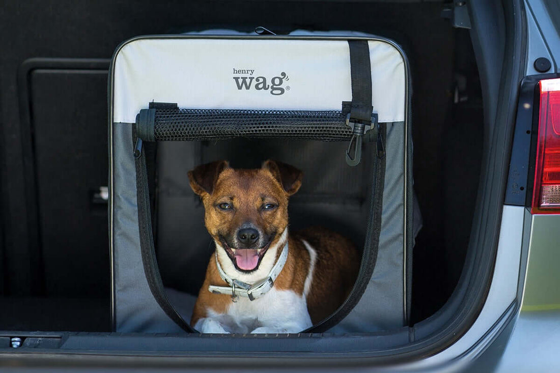 Henry Wag Pet Crate - Jumbo - صندوق نقل للحيوانات - Zue For Pet Supplies Co.