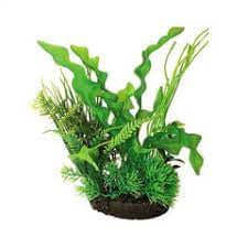 Hugo Boxed Plant Mix 6 22cm - ديكور حوض السمك - Zue For Pet Supplies Co.