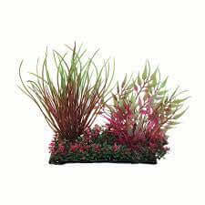 Hugo Boxed Plant Mix 8 15cm - ديكور حوض السمك - Zue For Pet Supplies Co.