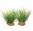Hugo Foreground Plant 3 Tub 20cm ( per pc. ) - ديكور حوض السمك - Zue For Pet Supplies Co.