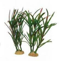 Hugo Foreground Plant 4 Tub 15cm - ديكور حوض السمك - Zue For Pet Supplies Co.