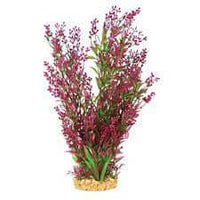 Hugo Mizu Alisma Mix Purple 20cm - ديكور حوض السمك - Zue For Pet Supplies Co.