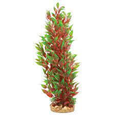Hugo Mizu Alternanthera 40cm - ديكور حوض السمك - Zue For Pet Supplies Co.