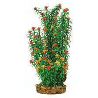 Hugo Mizu Ammani Bonsai 30cm - ديكور حوض السمك - Zue For Pet Supplies Co.