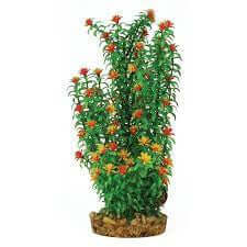 Hugo Mizu Ammani Bonsai 30cm - ديكور حوض السمك - Zue For Pet Supplies Co.