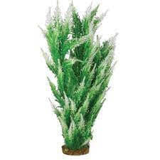 Hugo Mizu Bolbitis Mix 50cm - ديكور حوض السمك - Zue For Pet Supplies Co.