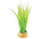 Hugo Mizu Cyperus Green 20cm - ديكور حوض السمك - Zue For Pet Supplies Co.