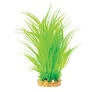 Hugo Mizu Cyperus Helferi 40cm - ديكور حوض السمك - Zue For Pet Supplies Co.